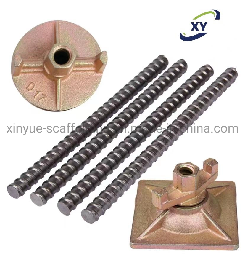 Construction Scaffolding Wing Nut Anchor Nut Tie Rod Nut Plate Nut Tie Rod Combination Nut for Formwork System